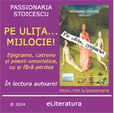 1-Coperta1_PeUlitaMijlocie_CD-Cover1.jpg